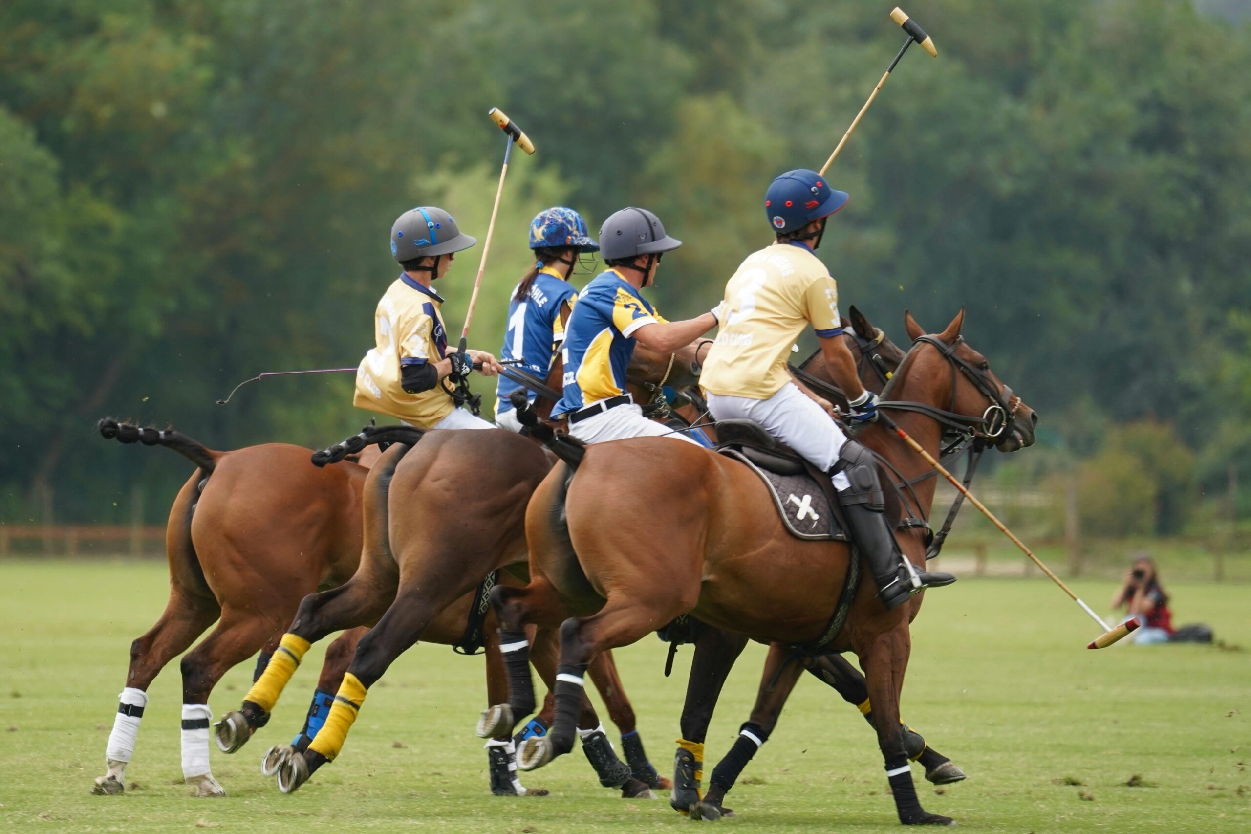 Four polo players in action on a green field showcasing intense sports competition.